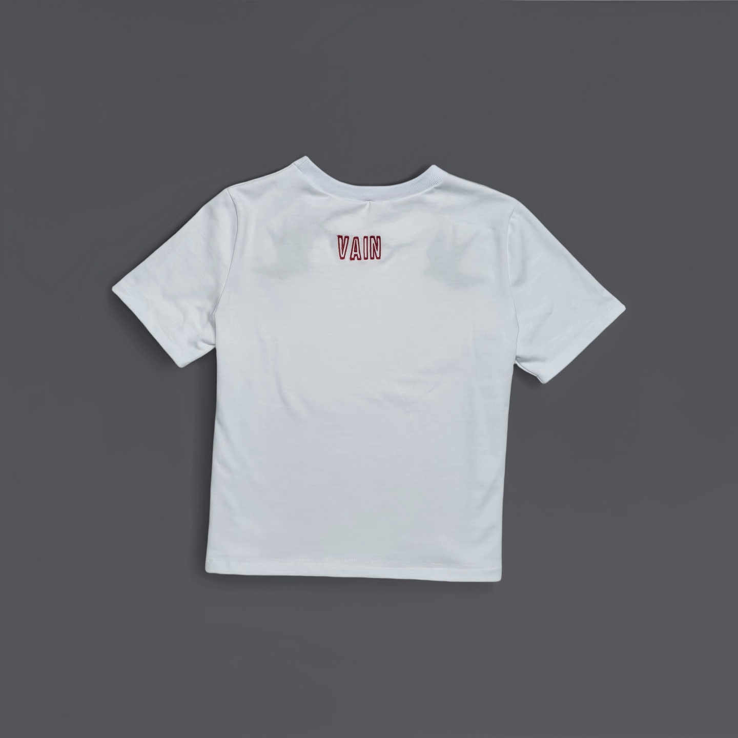 Swallows by Vain Women's T-Shirt